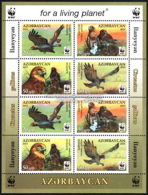 Stamp Issue Azerbaijan: WWF 2011, Short-toed snake eagle