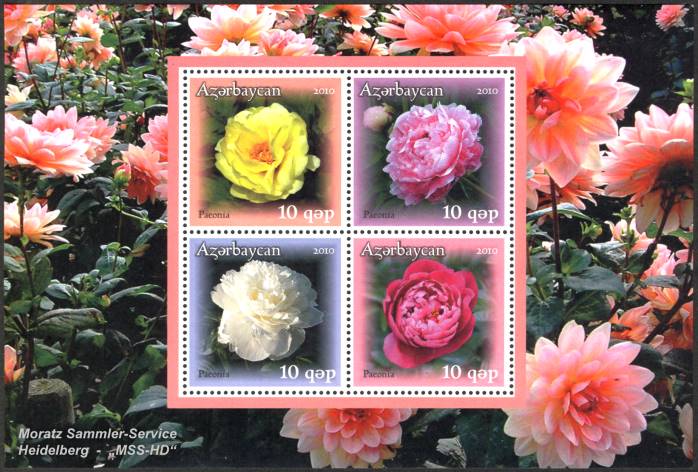 Briefmarken-Ausgabe Aserbaidschan: Pfingstrosen 2010