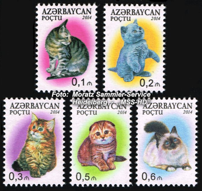 Briefmarken-Ausgabe Aserbaidschan: Dauermarken Katzen 2014